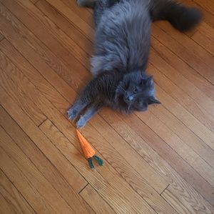 Meet your Posher, Zena